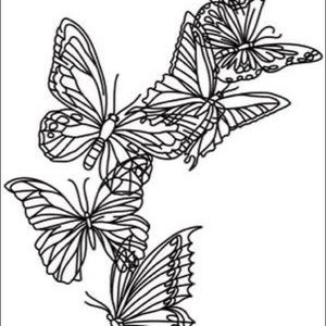 Meet your Posher, Claire